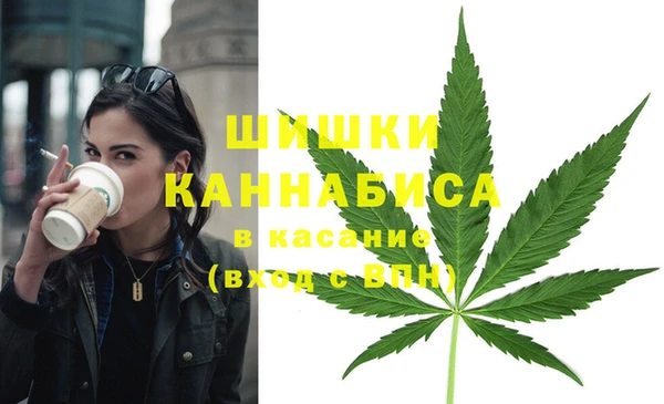 Альфа ПВП Инсар