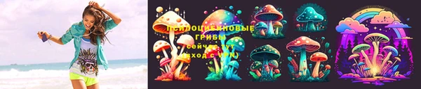 Альфа ПВП Инсар