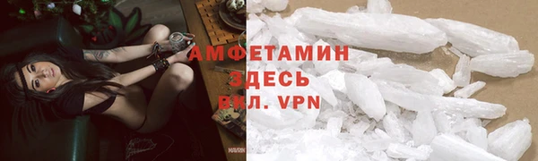 прущие грибы Каменка