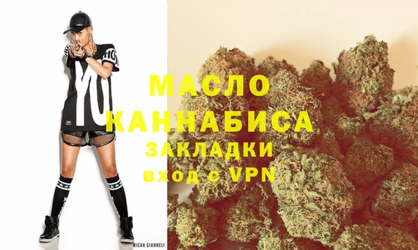 Альфа ПВП Инсар