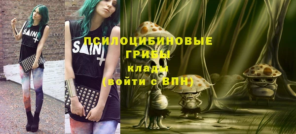 Альфа ПВП Инсар