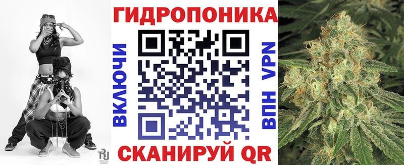 Бошки Шишки сатива  Купить где  Клин 